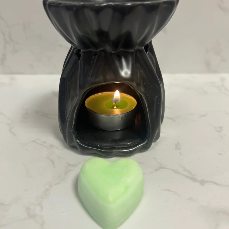 Ceras aromáticas para quemador - Pack 5 aromas