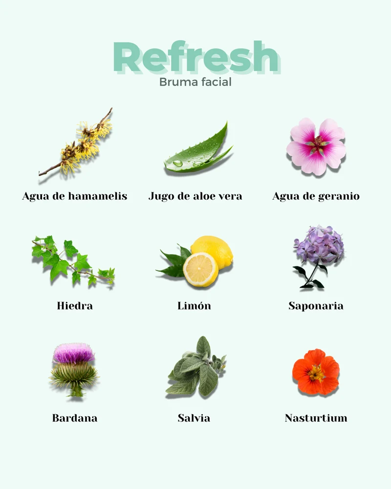 Tónico para Pieles Grasas REFRESH