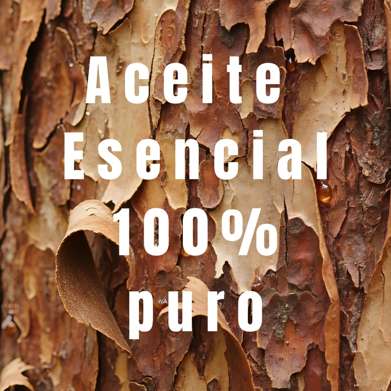 Aceite esencial de clavo de olor - Simple As