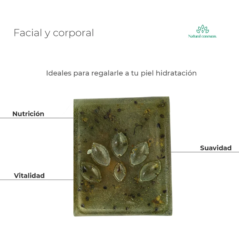 Jabón Artesanal Facial y Corporal - Econativa
