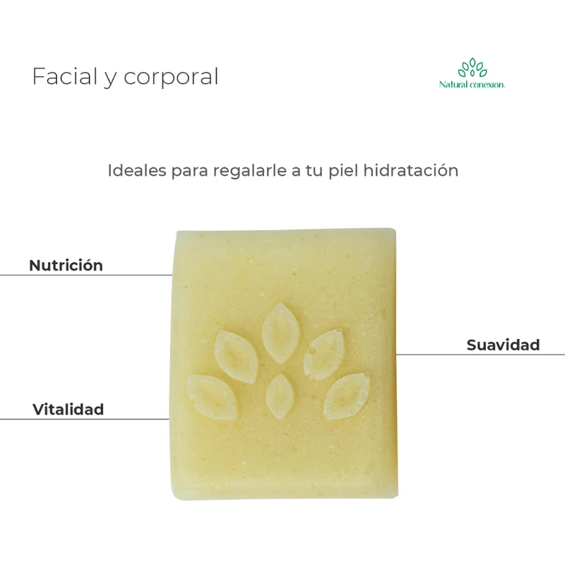 Jabón Artesanal Facial y Corporal - Econativa