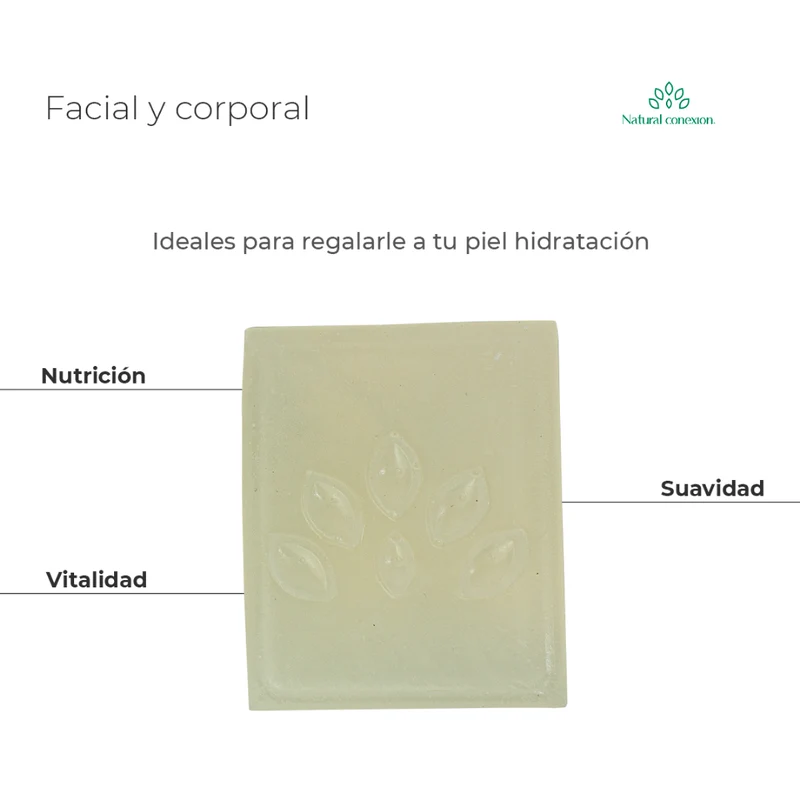 Jabón Artesanal Facial y Corporal - Econativa