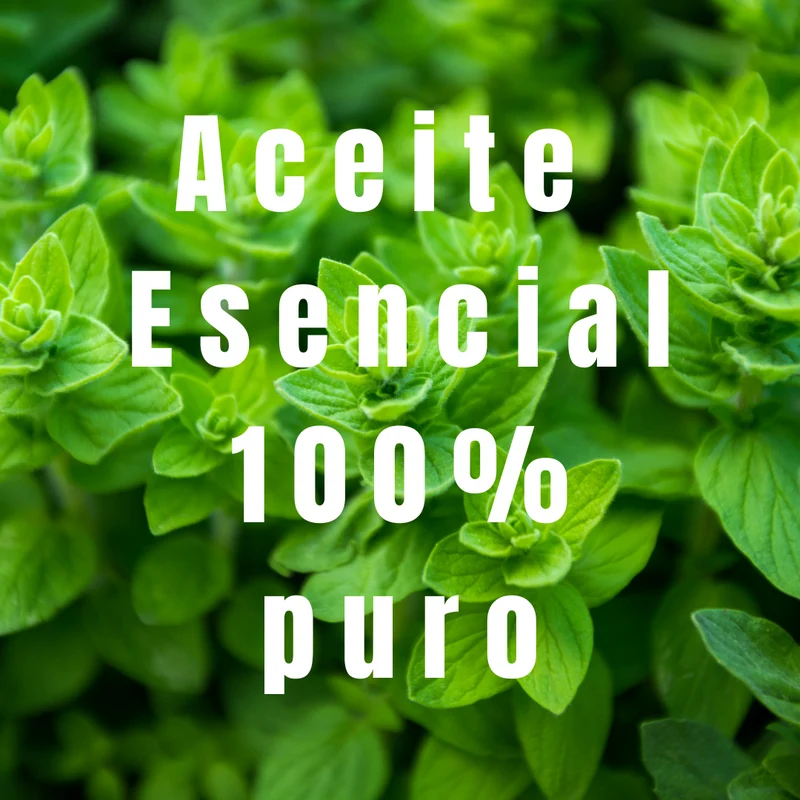 Aceite esencial de orégano - Simple As