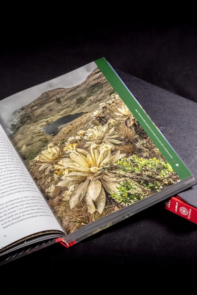 Libro Cumbres Blancas