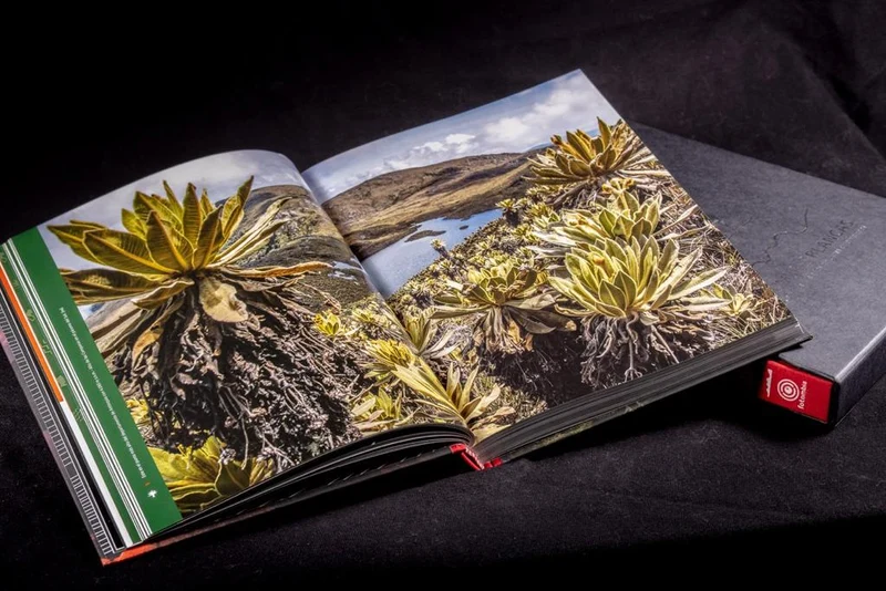 Libro Cumbres Blancas