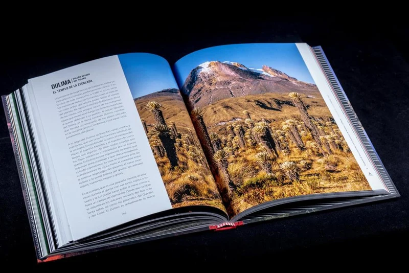 Libro Cumbres Blancas