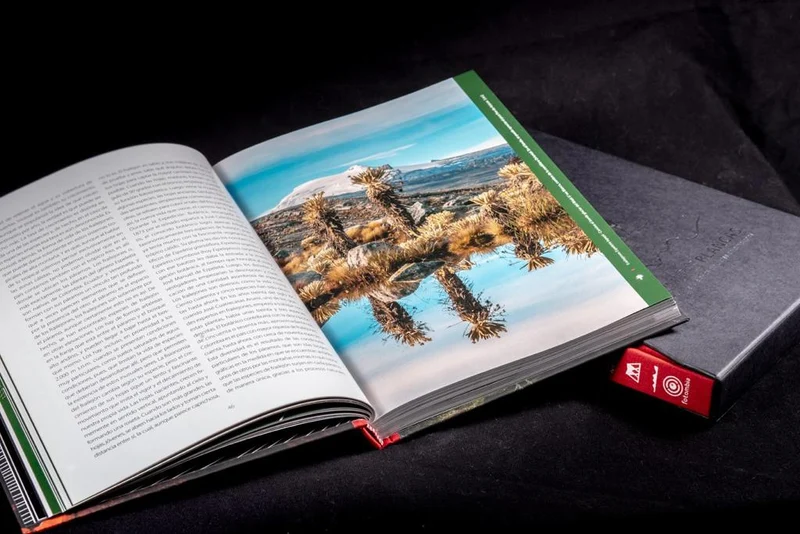 Libro Cumbres Blancas
