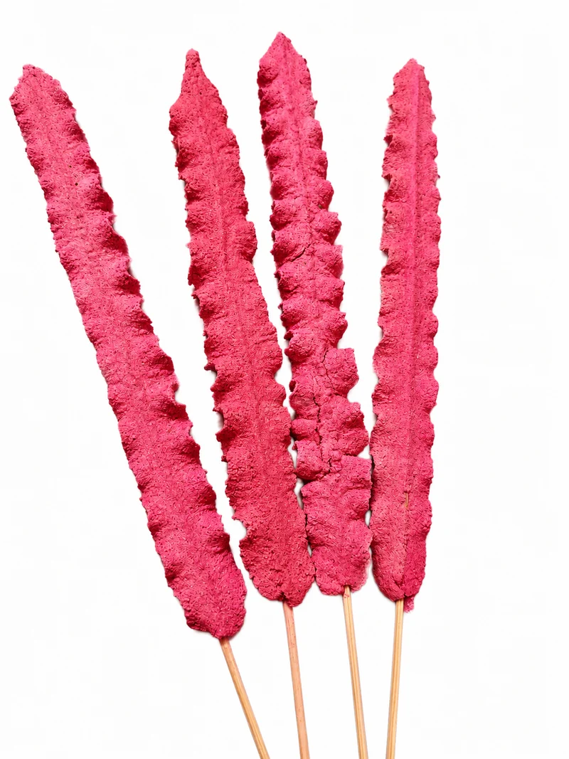 Incienso dulce hogar, 4 plumas