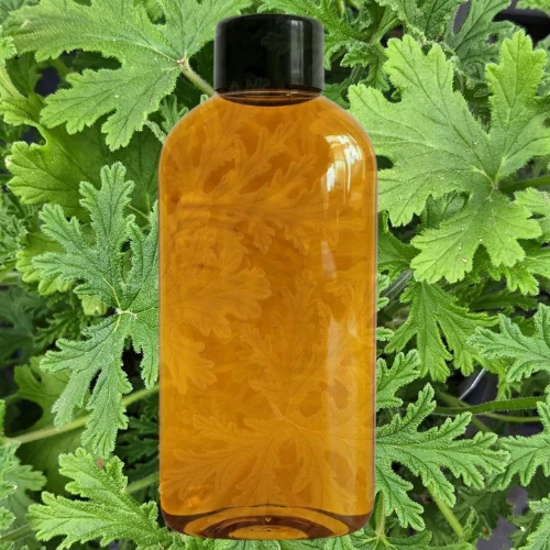 Fragancia Citronela Repelente