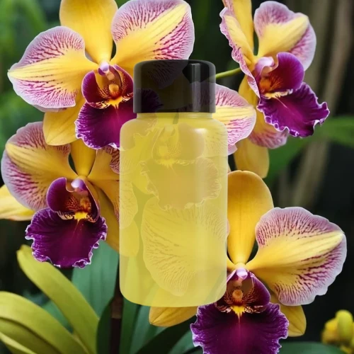 Fragancia Orquídea Salvaje
