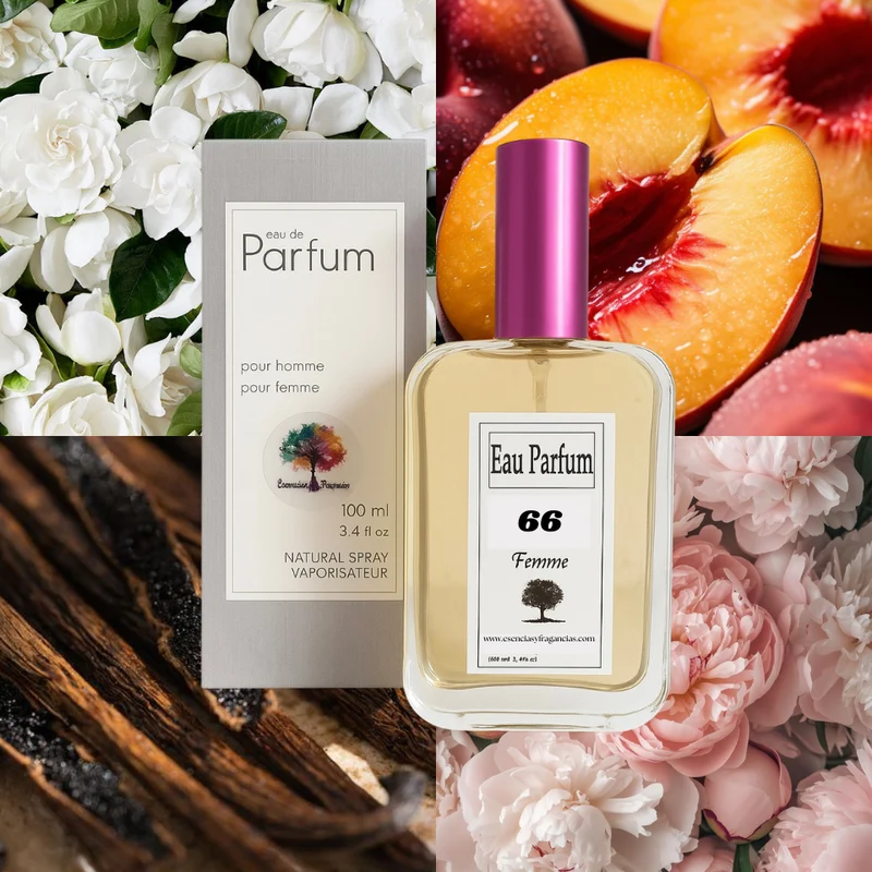 Perfume Femenino 66 - Símil Gucci Rush de Gucci