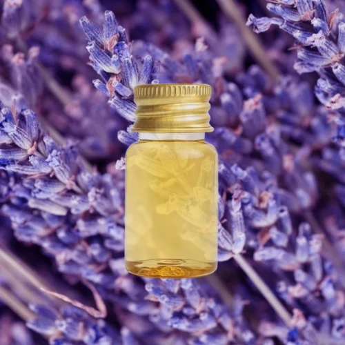 Fragancia Lavanda Francesa