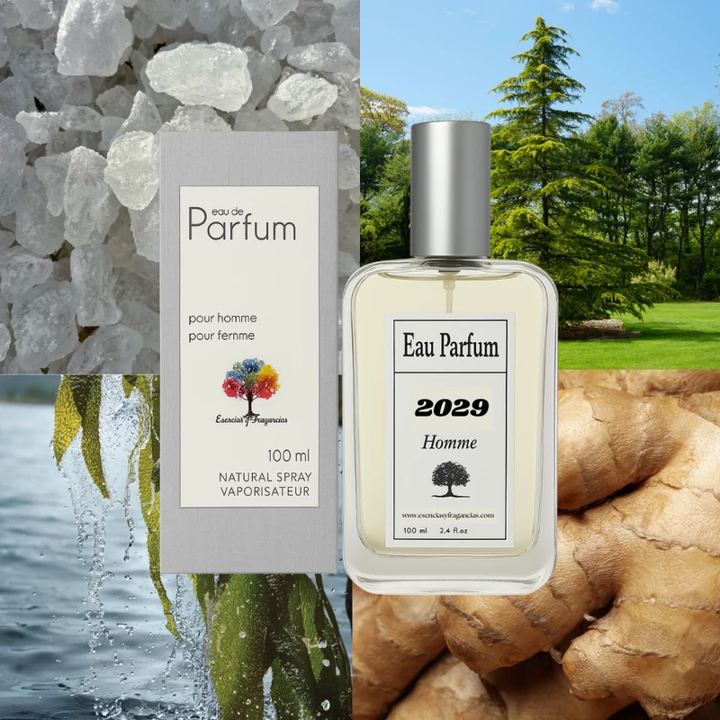 Perfume Masculino 2029 - Símil Le Sel d'Issey de Issey Miyake