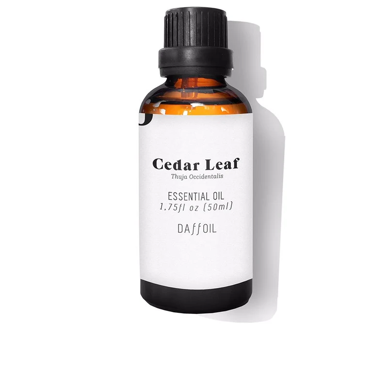 DAFFOIL - Cabello - DAFFOIL CEDAR LEAF / (2 opciones)
